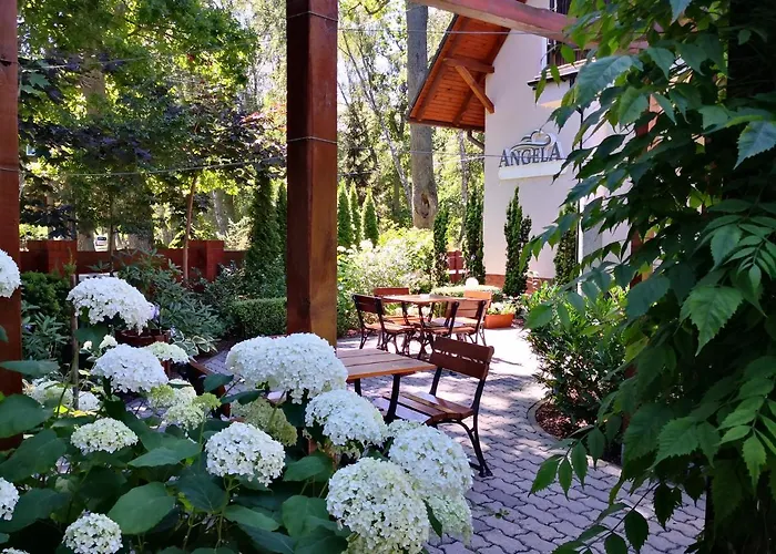 Angela I 포비에로보